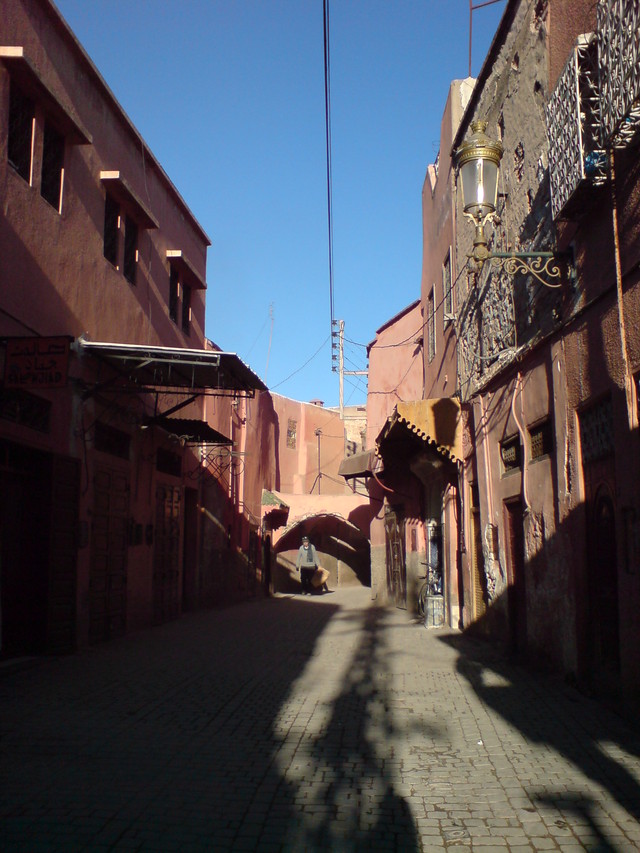 Dsc05083