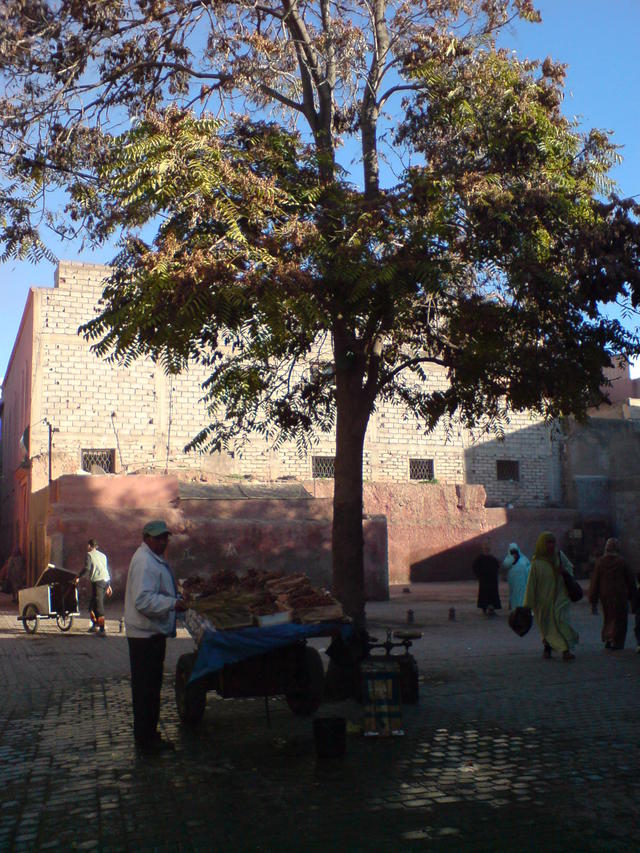 Dsc05087