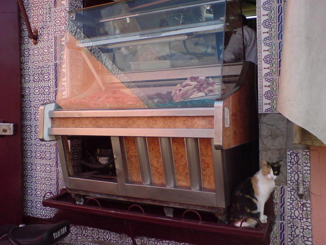 Dsc05066