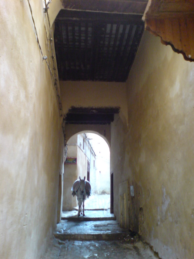 Dsc04404