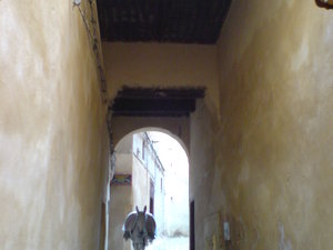Dsc04404