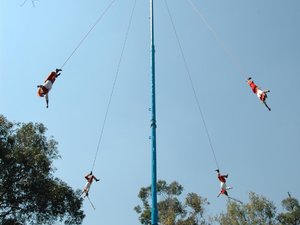 Dsc 1716