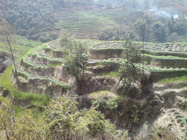 Dsc03146