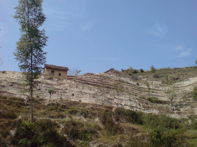 Dsc03147