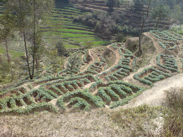 Dsc03149