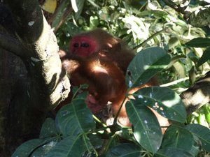 Laguna de Catemaco