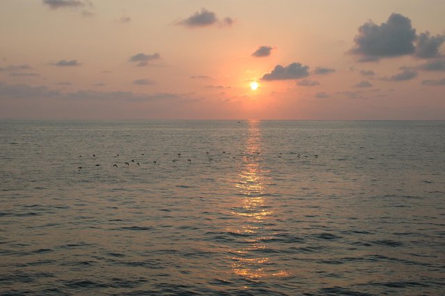 Dsc 2421