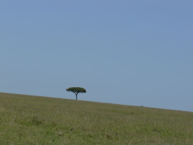 Masai5