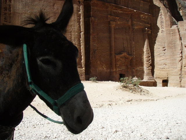 Petra - Jordania
