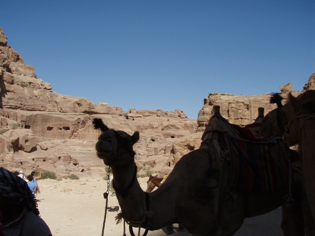 Petra - Jordania