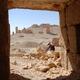 25810 - Palmyra beduini camele i kupa kamieni