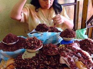 Oaxaca de Juárez