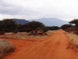 Kenia, Tsavo