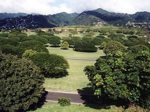 Hawaje, Punchbowl