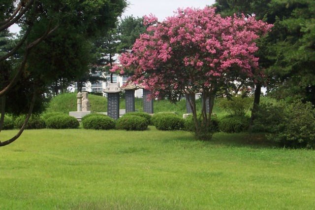 Seul