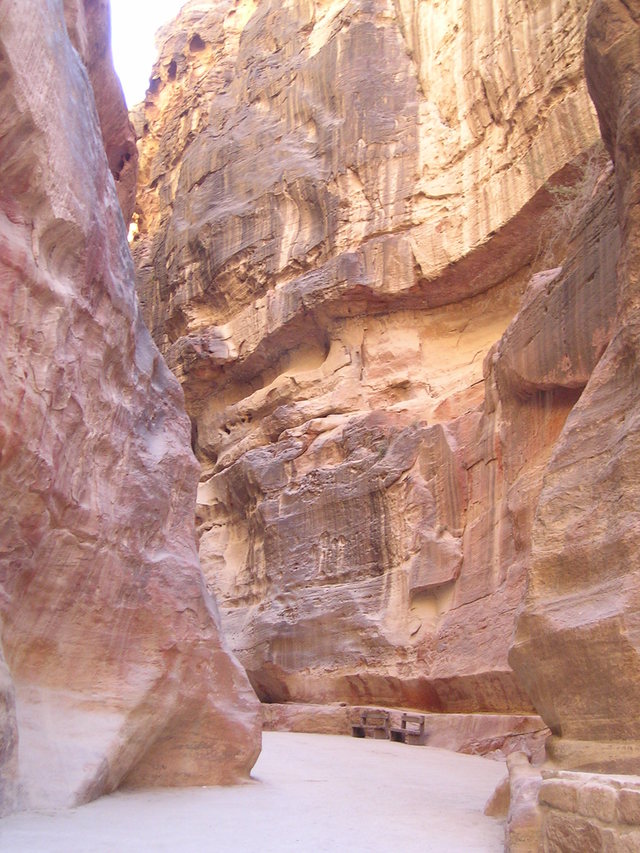 P1010046