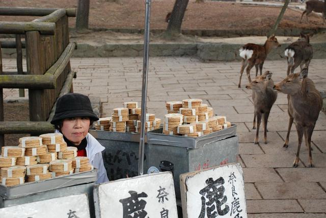Nara, bufetowa z jadlem dla danieli