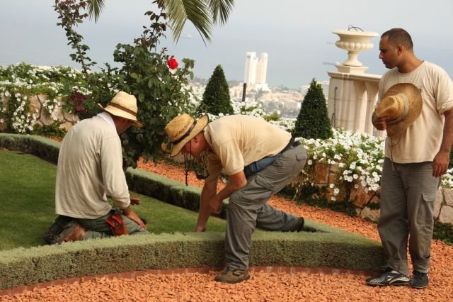 Ogrody Baha'i, Hajfa