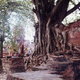Ayutthaya 08