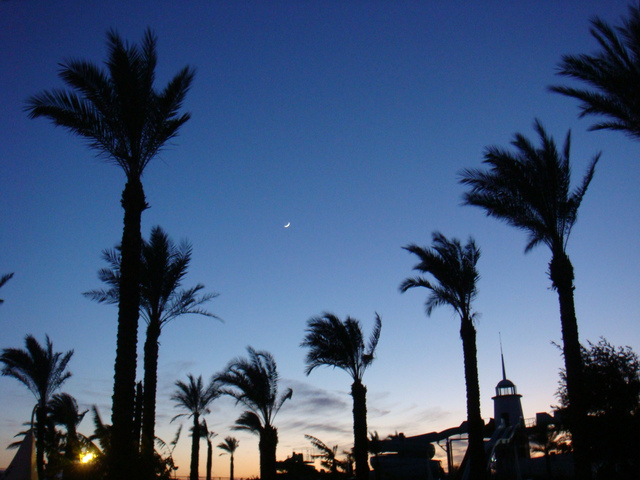 2008-12-30 - Hotel Titanic, Antalya, Turcja