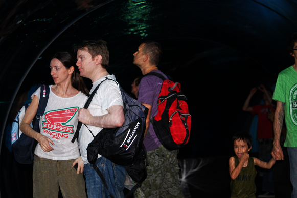 Oceanarium