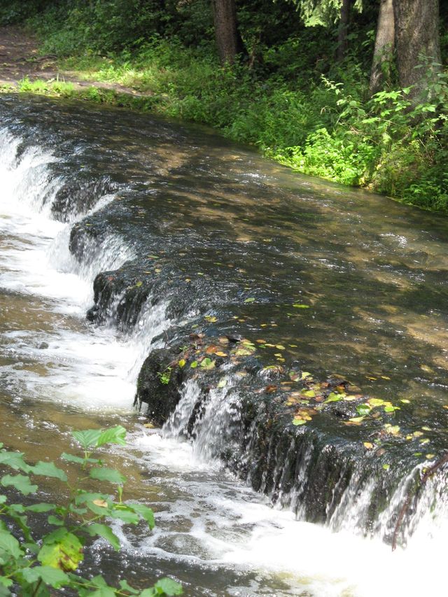 Rezerwat Szumy nad Tanwią