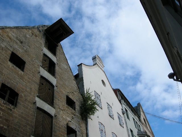 mieszczanie