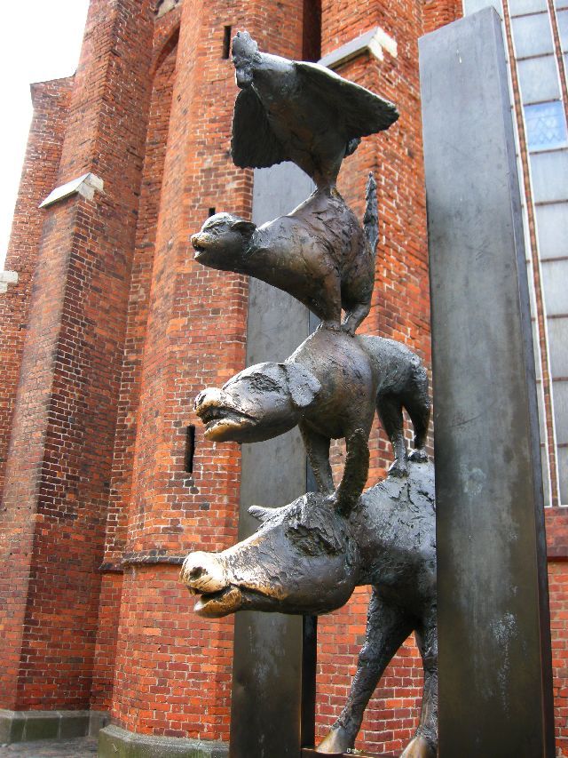 piramida zwierząt 