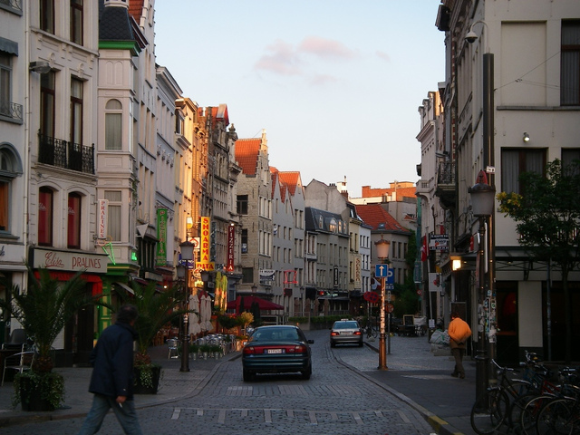 Antwerpia [6313]