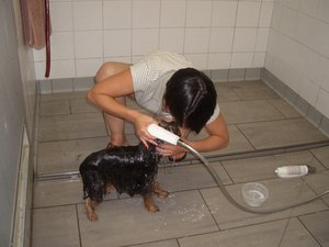 Psi prysznic na kempingu   [2048]
