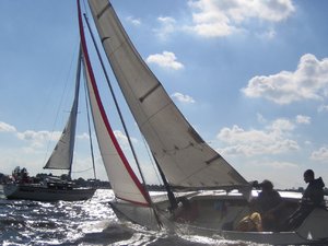 Dokładnie przepiekny obszar Friesland w Holandia