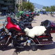 Fuengirola, zlot Harleyowców