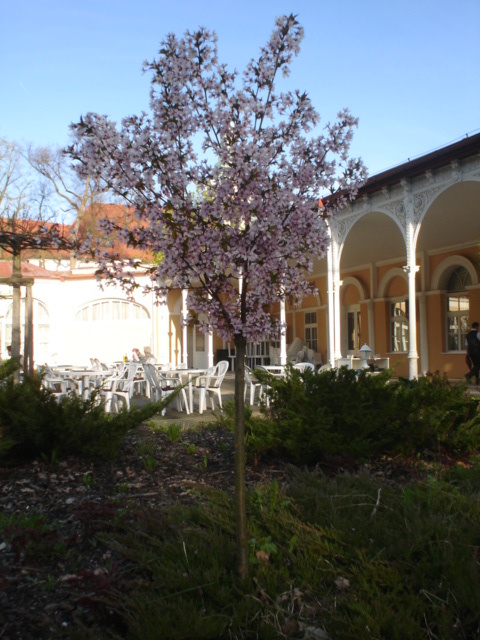 Franciszkowe laznie - Franzensbad