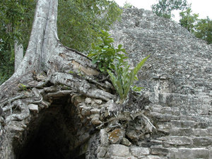 Dsc 3741