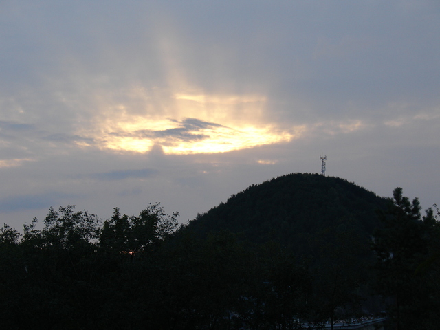 Solina 