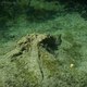 Plitvice - podwodne fascynacje