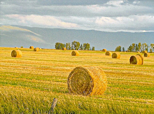 Montana,USA