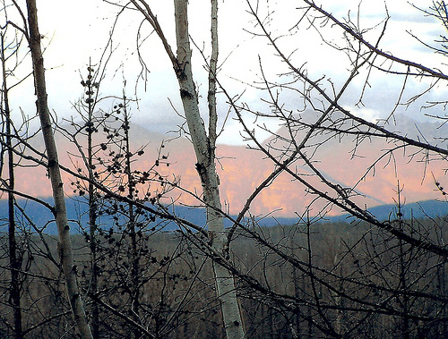 Montana, USA