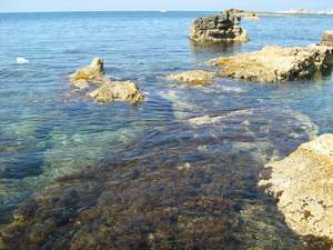 Paphos