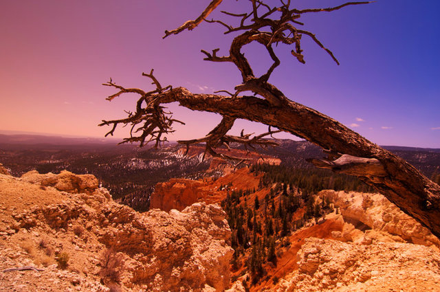 Bryce Canyon - najdalszy punkt widokowy w parku