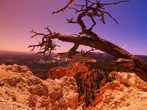 Bryce Canyon - najdalszy punkt widokowy w parku