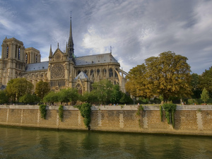 Notre dame de paris