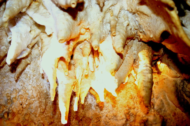 W jaskini na wyspie Bohol