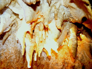 W jaskini na wyspie Bohol