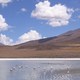 Flamingi, Uyuni, Boliwia