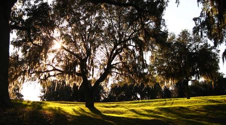 Plantacja Middleton, Charleston, SC