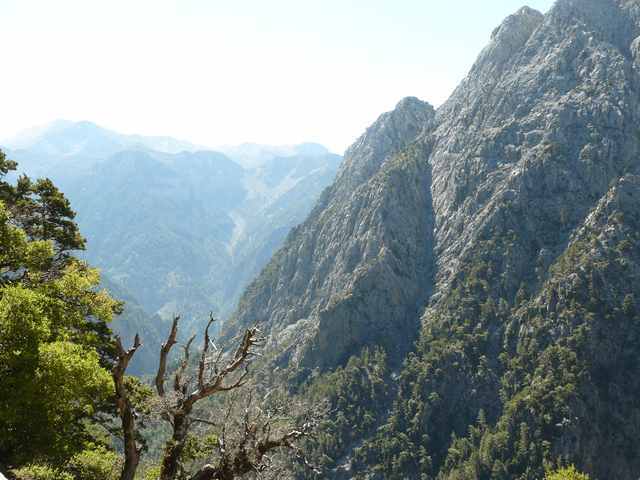 Samaria