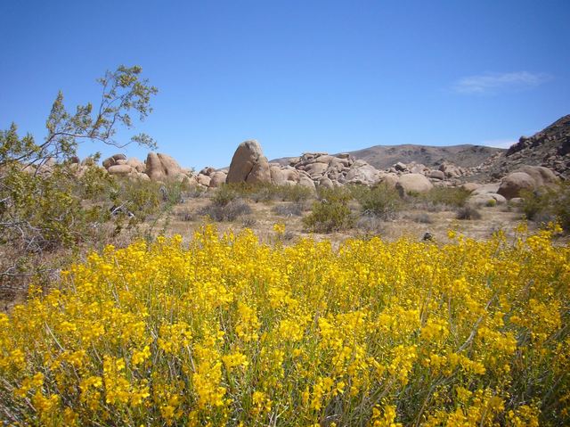 California 148