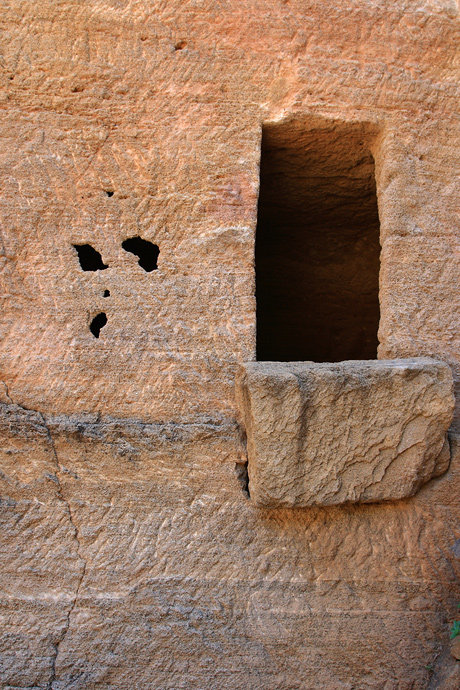 Papulonia Etruschi