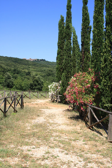 Papulonia Etruschi